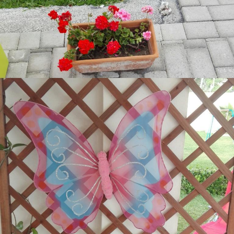 La Casa Delle Farfalle Bed & Breakfast Syracuse Luaran gambar
