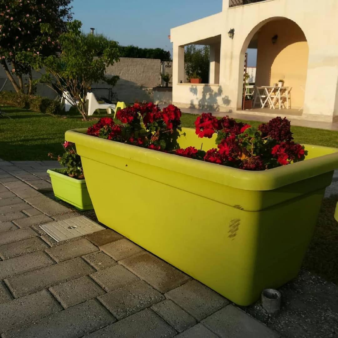 La Casa Delle Farfalle Bed & Breakfast Syracuse Luaran gambar